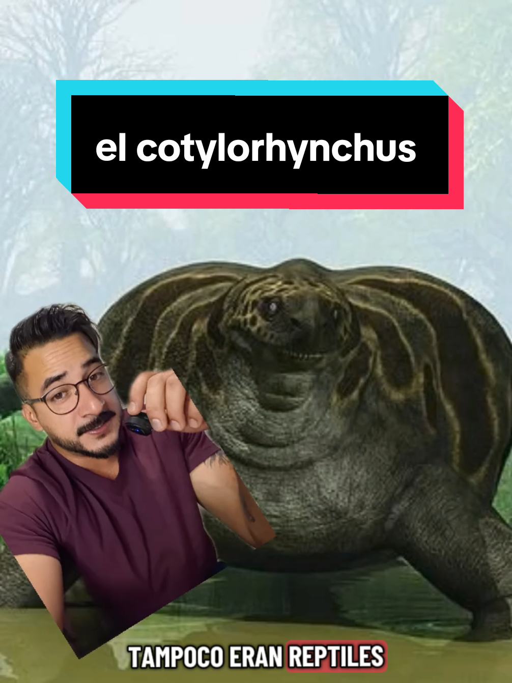 @nolosejose