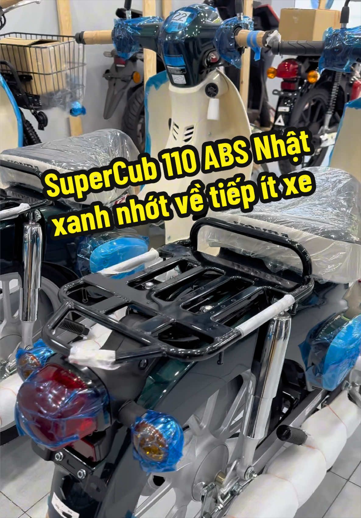 @Quốc Cường Cub House