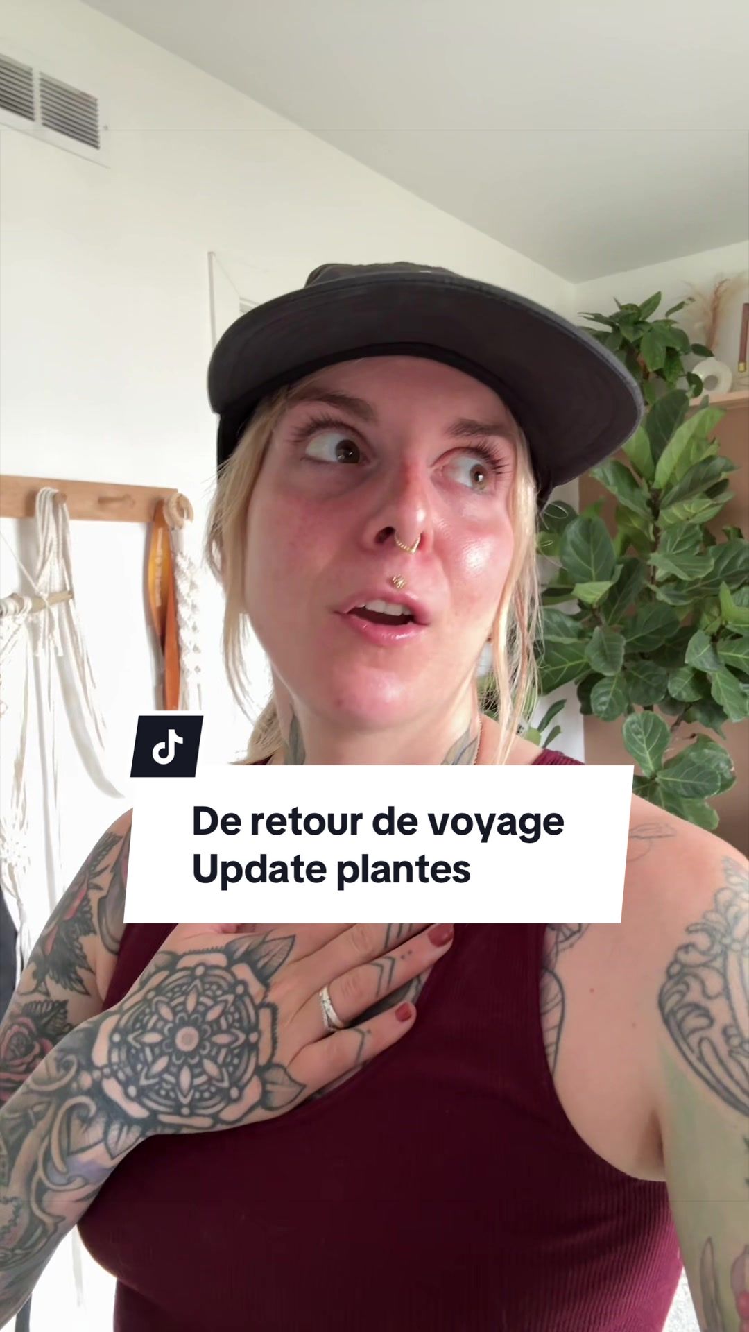 @Laura pigeon