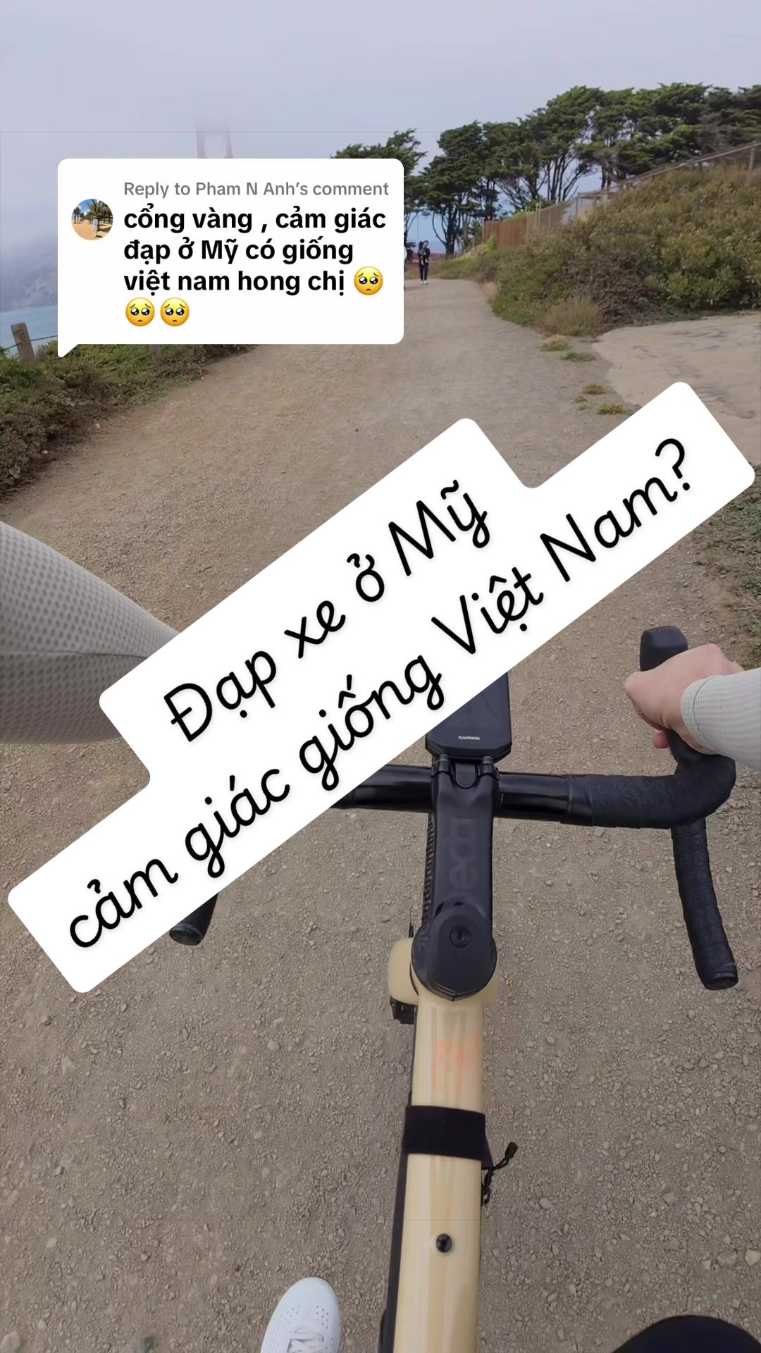 @Mai Thương