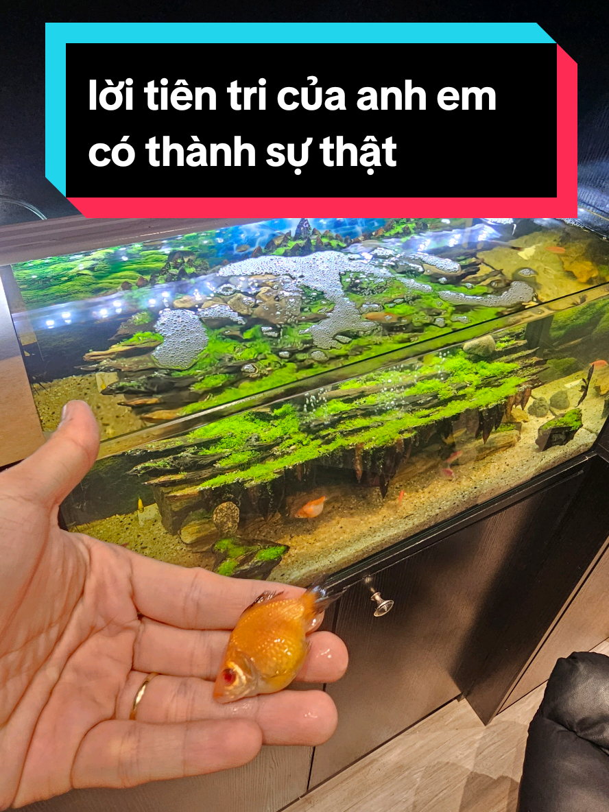 @THẰNG THỢ ĐỤNG