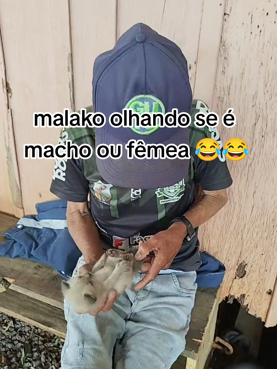 @Daya oficial