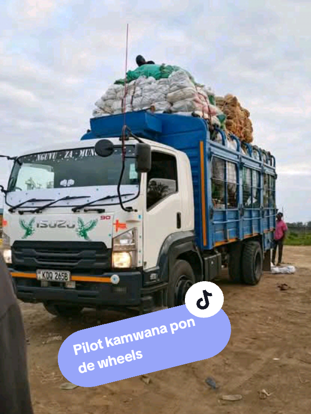 @Kariene Spotter