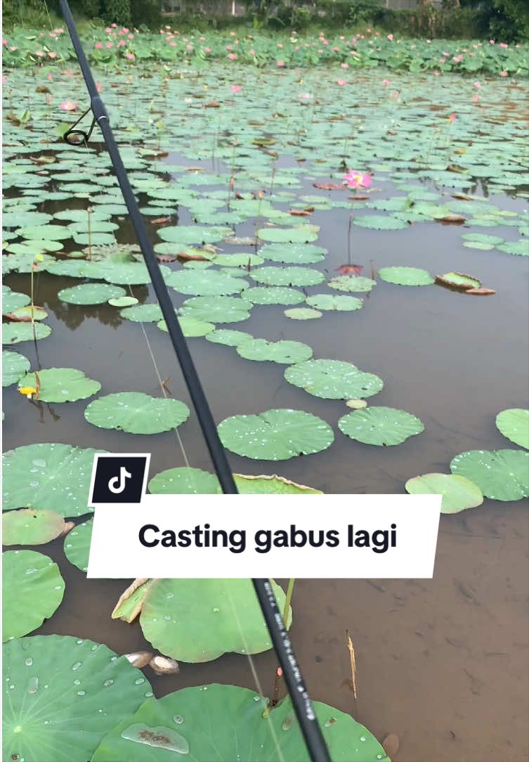 @Bang Fajri 🎣