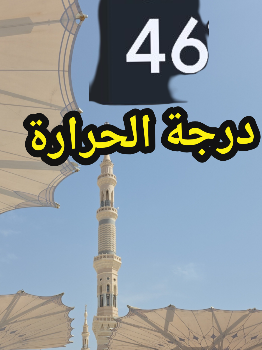 @سعود من المدينة المنورة 🛑