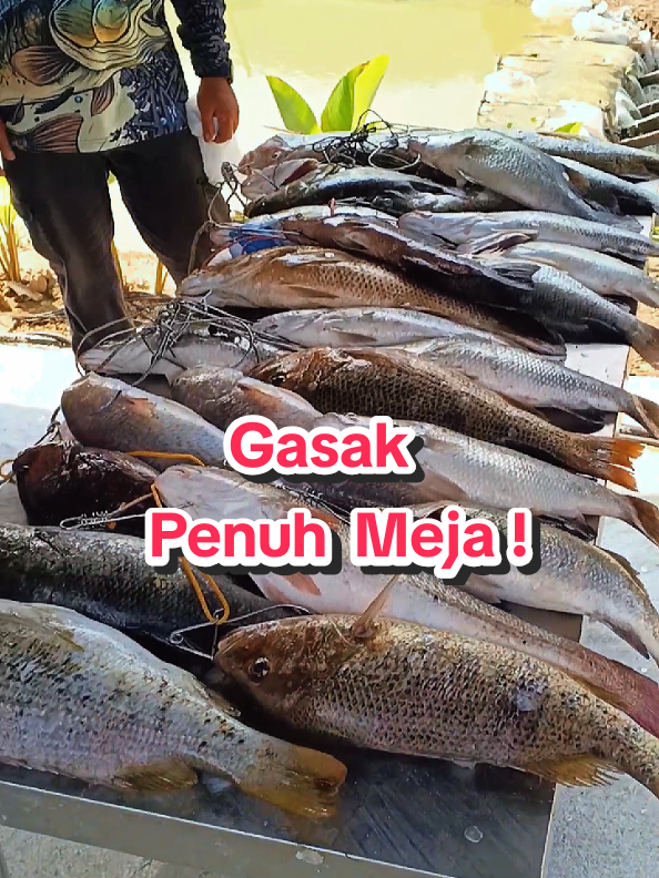 @Paan Pacak