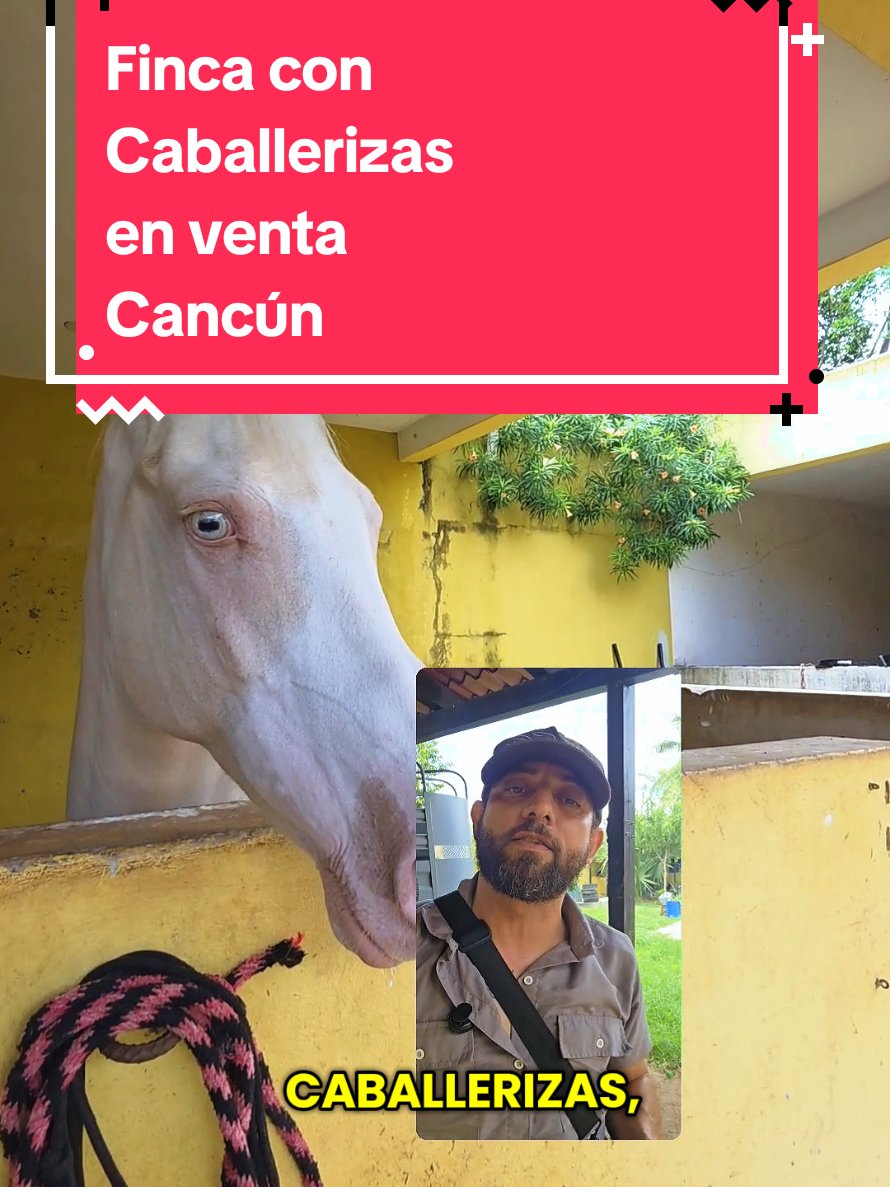 @Jose Chein - Bienes Raices