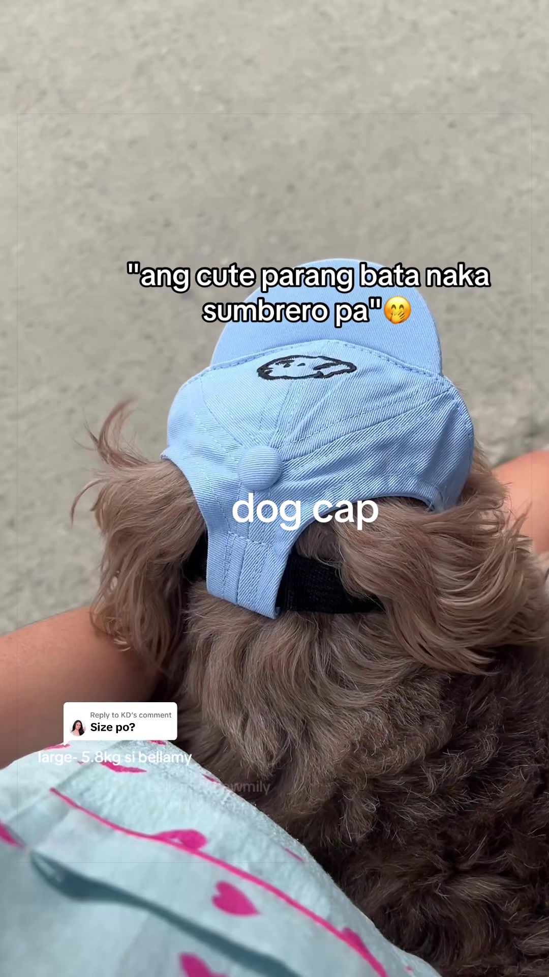 @Bellamy&Pawmily