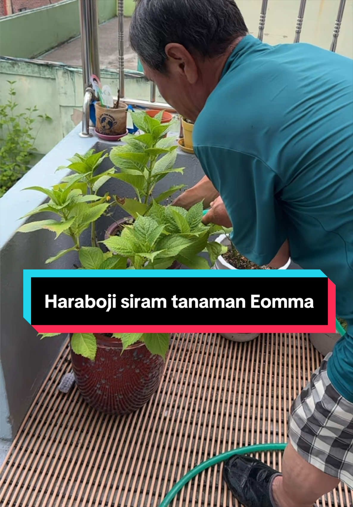@Eomma Fitri