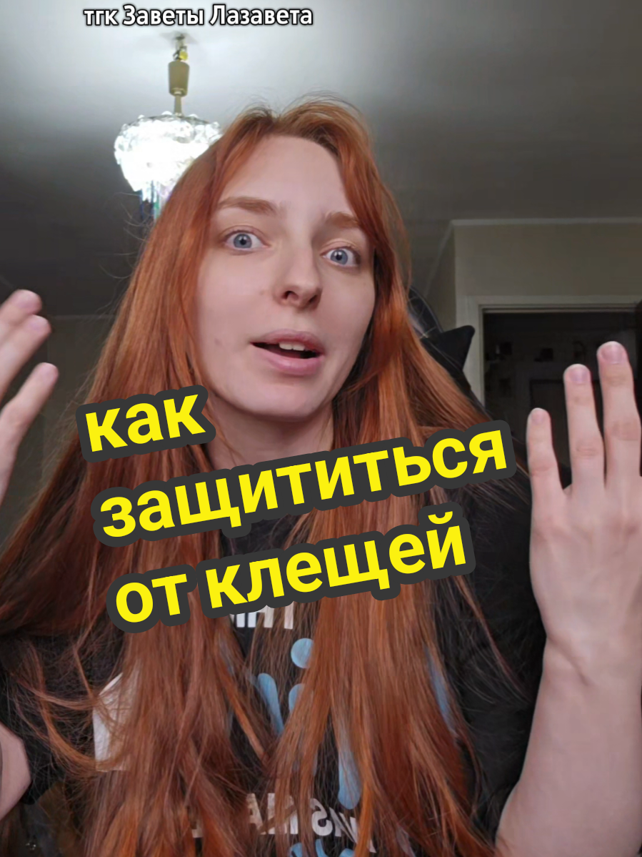@lazarewhy