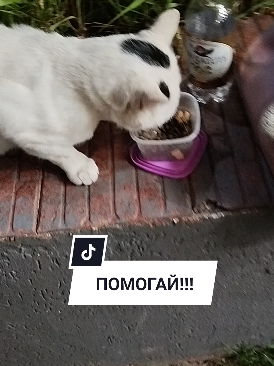 @IRINA