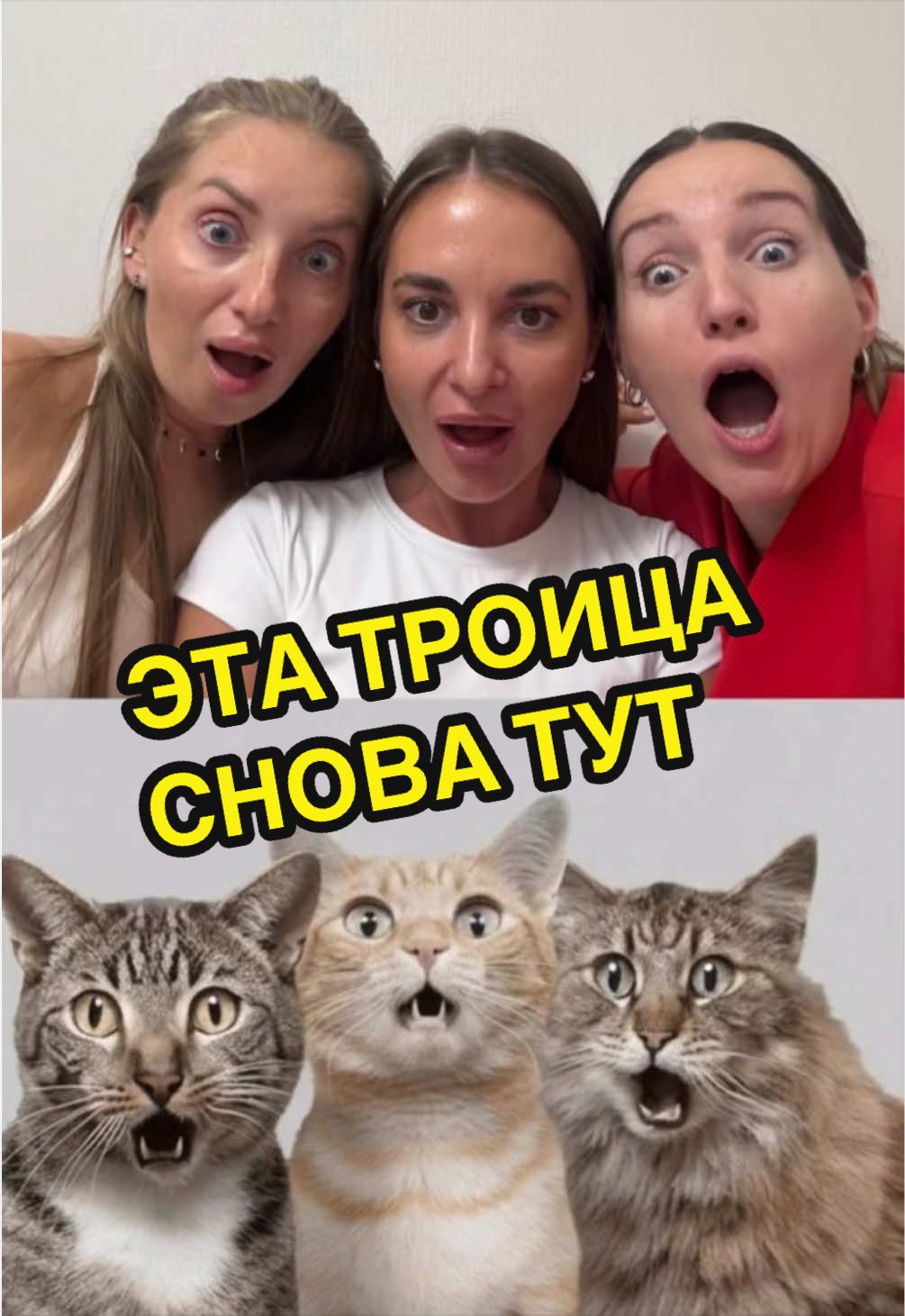 @KAKZHEHOROSHA