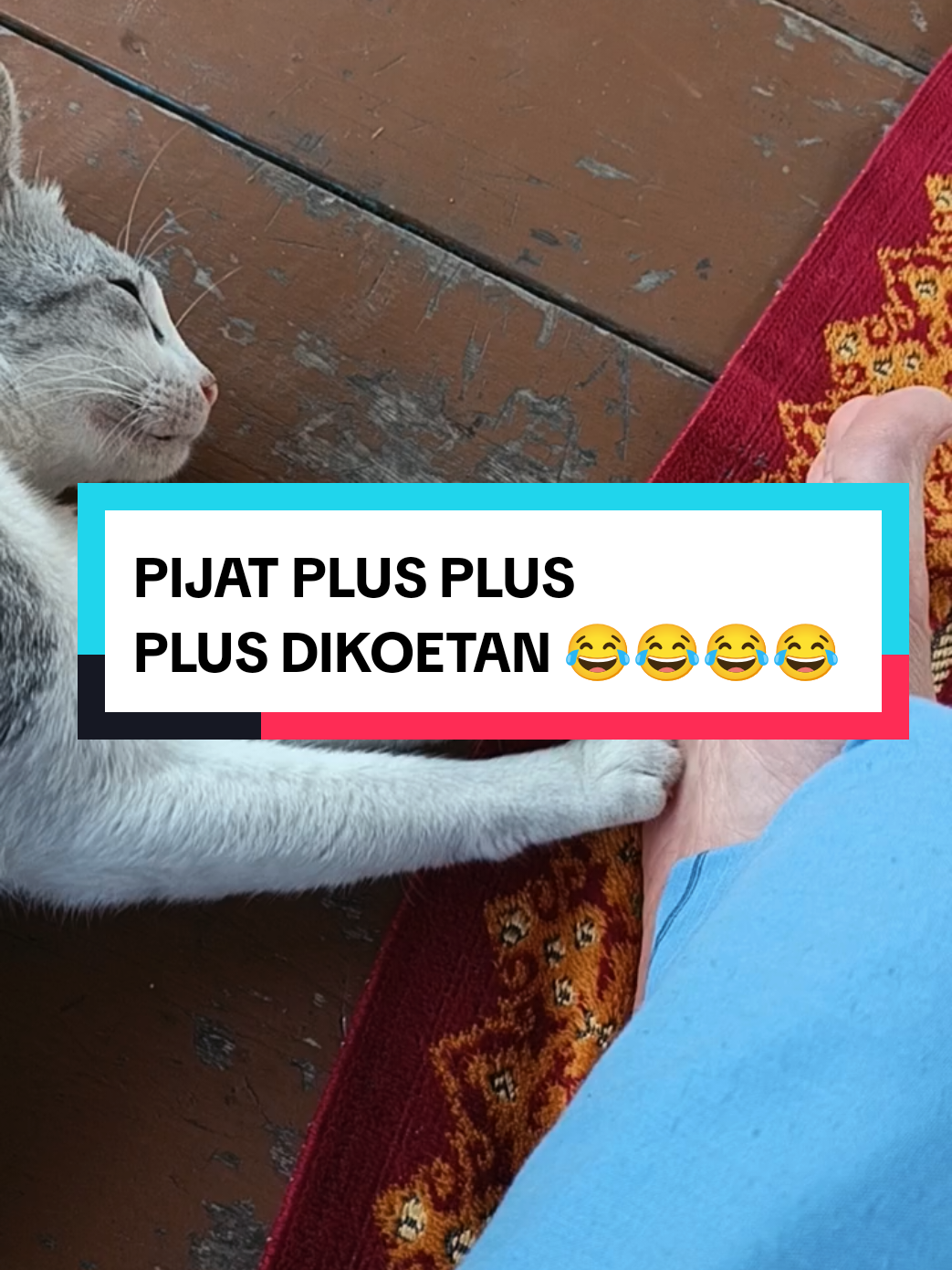 @Shufi Zainal Mutaqin