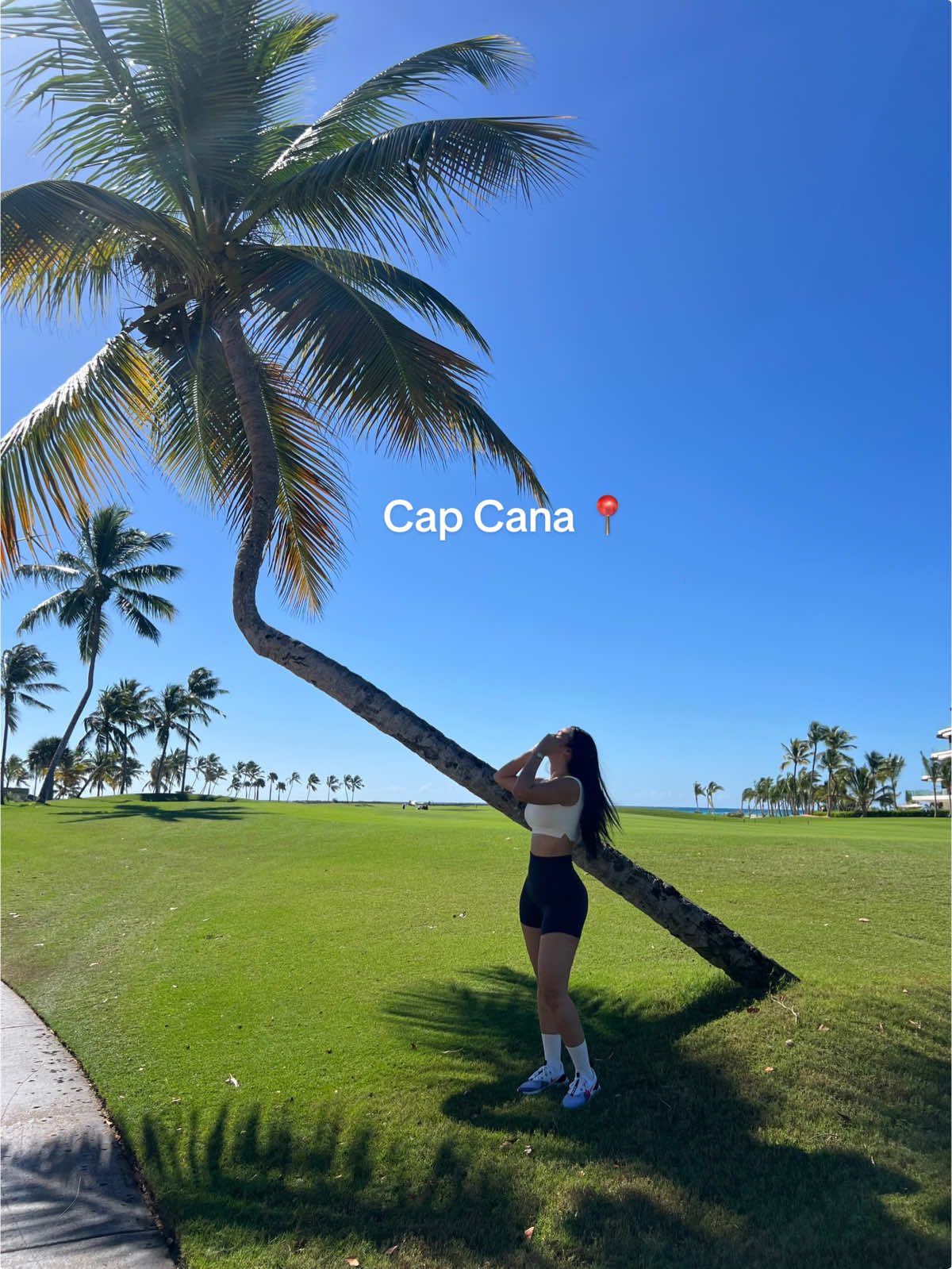 @Stephanie Gallardo