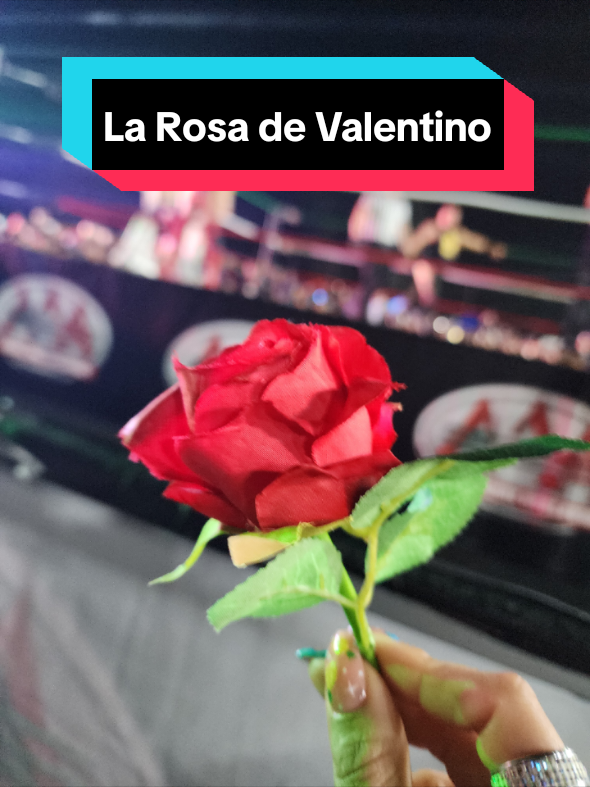 @La Rosa de Valentino 🌹