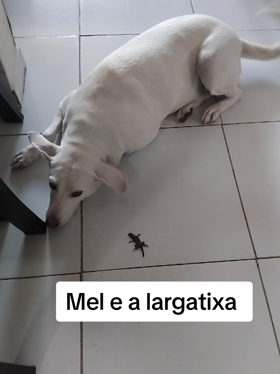 @Mel e zayon