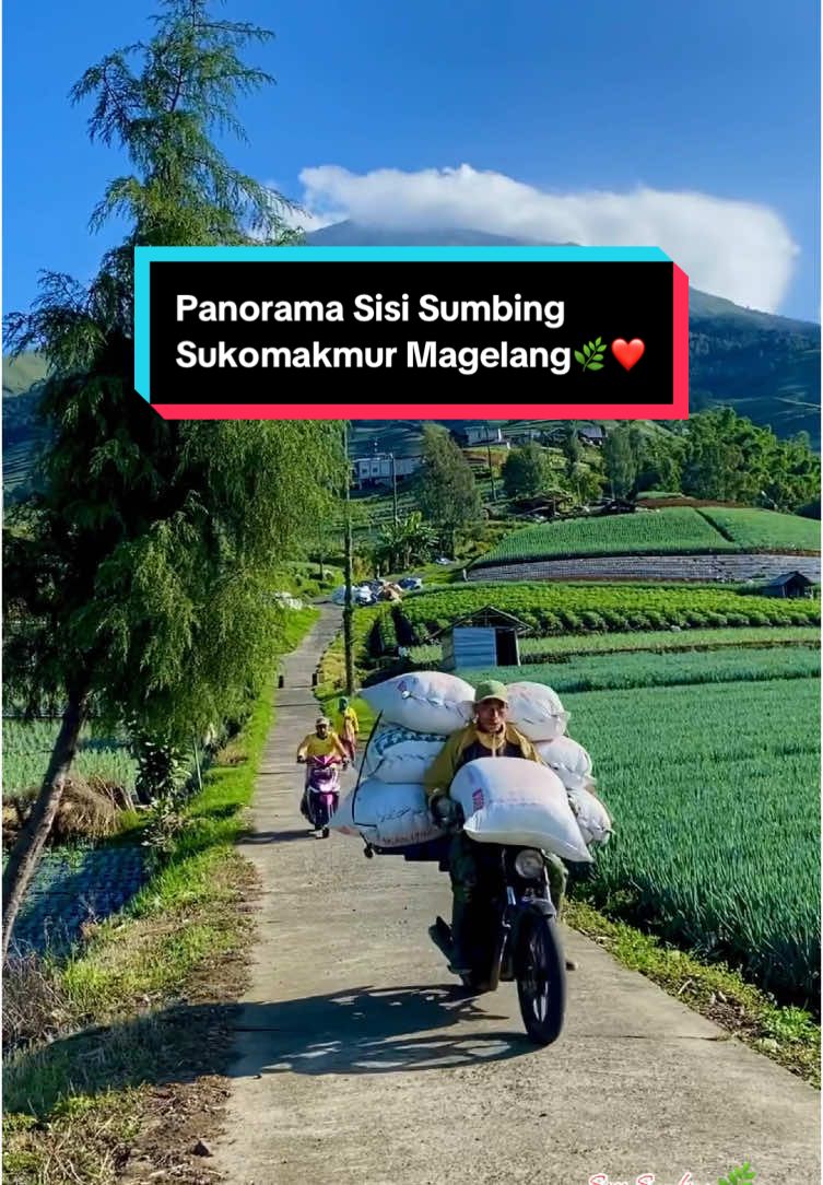 @SISI_SUMBING