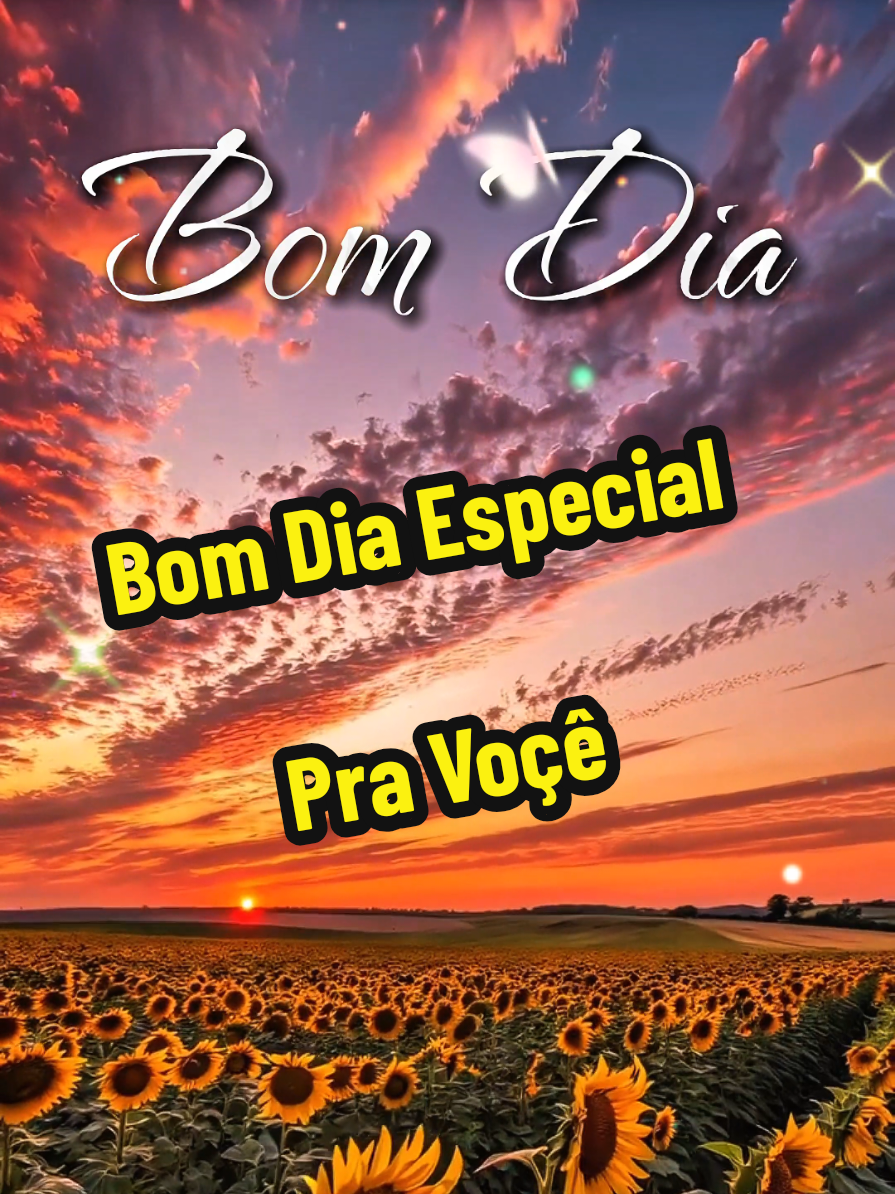 @César A. A. Santos