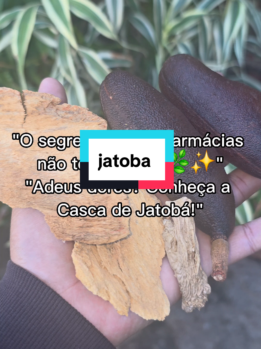 @Dicas e Receitas Naturais