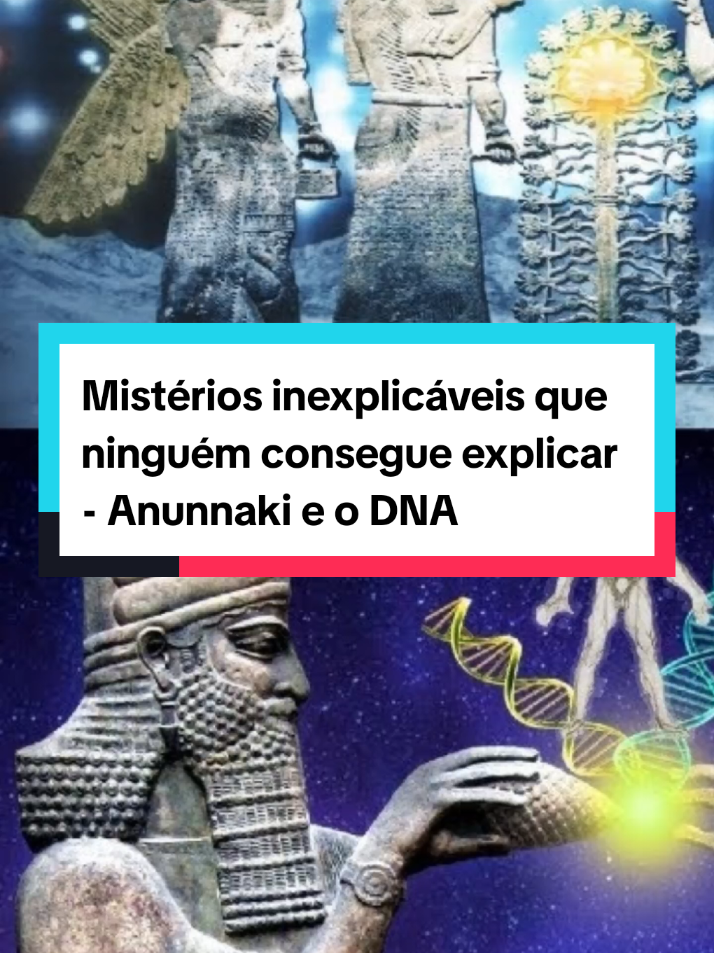 @hshshs