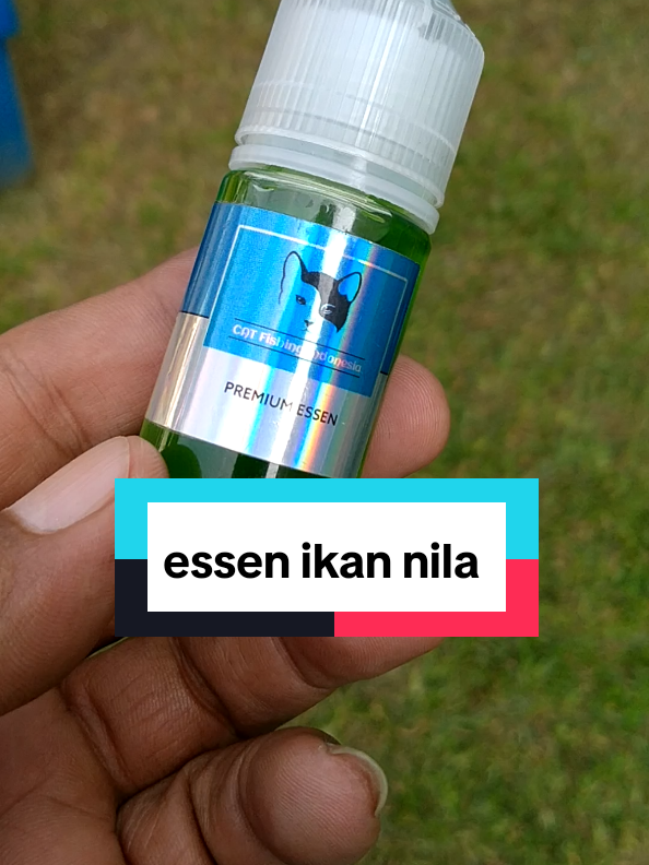 @Berkah FS