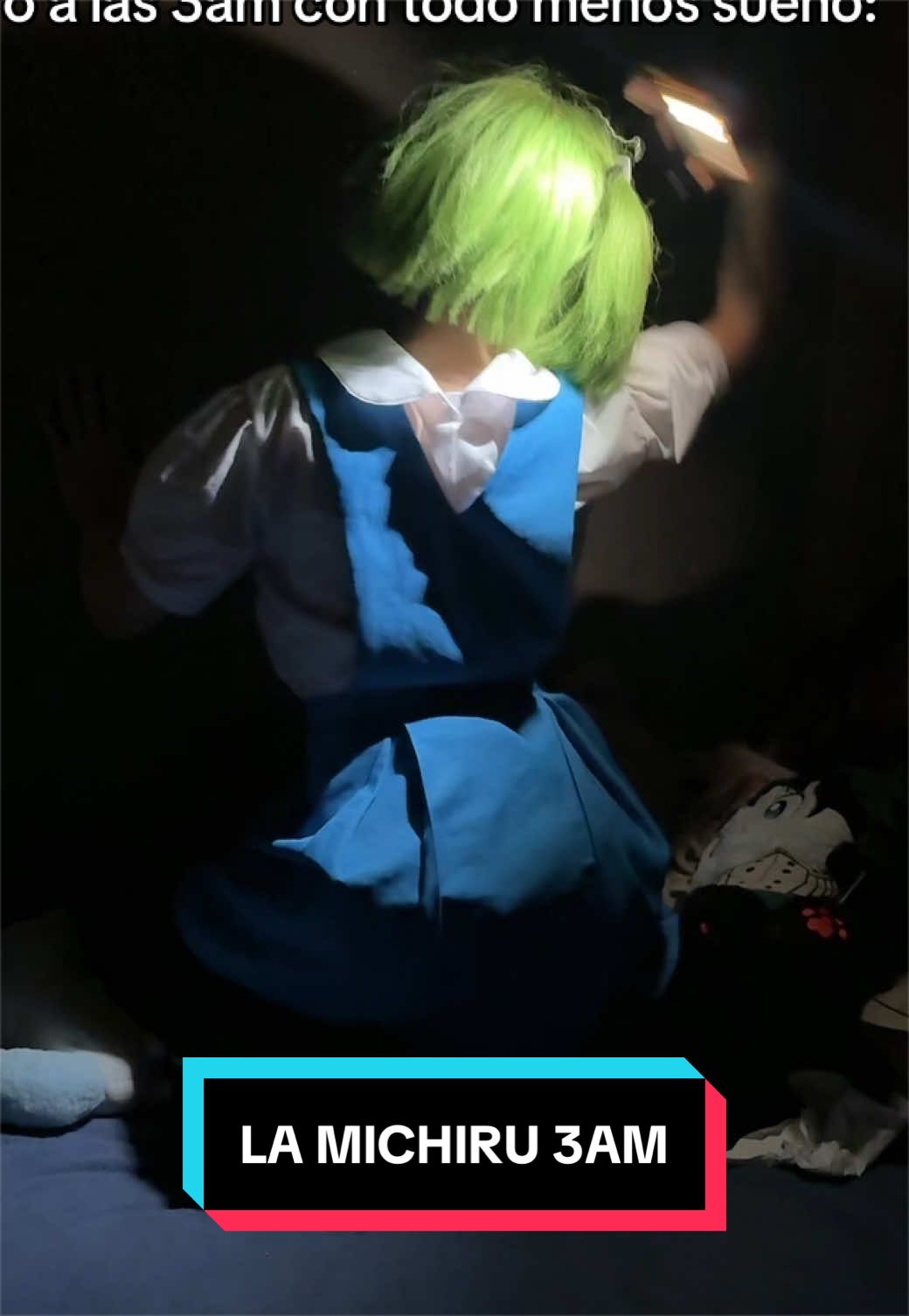 @LaMichiru