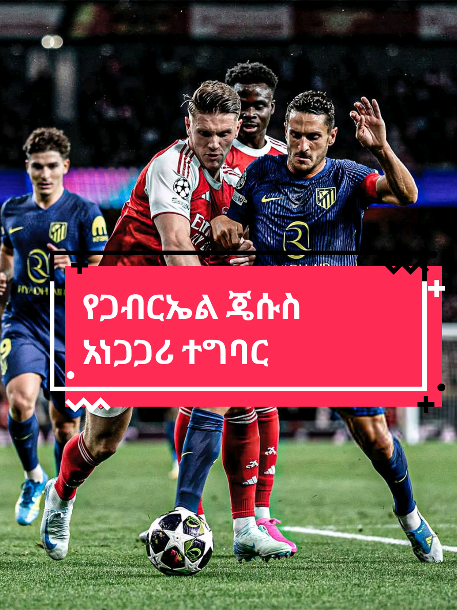 @Sham Sport