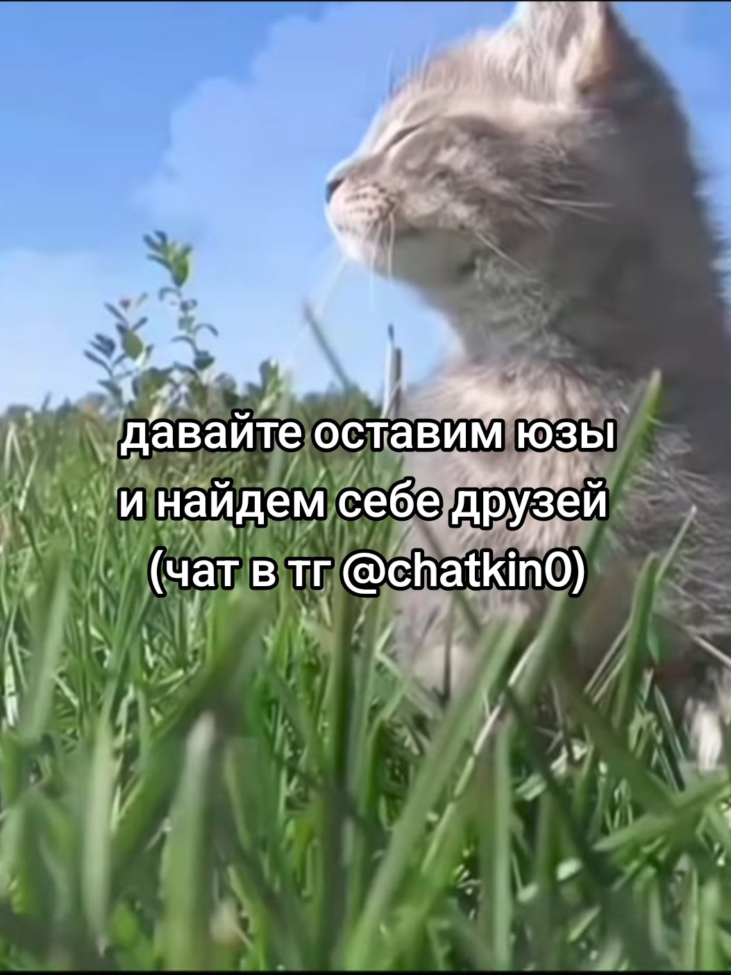 @cqtagger