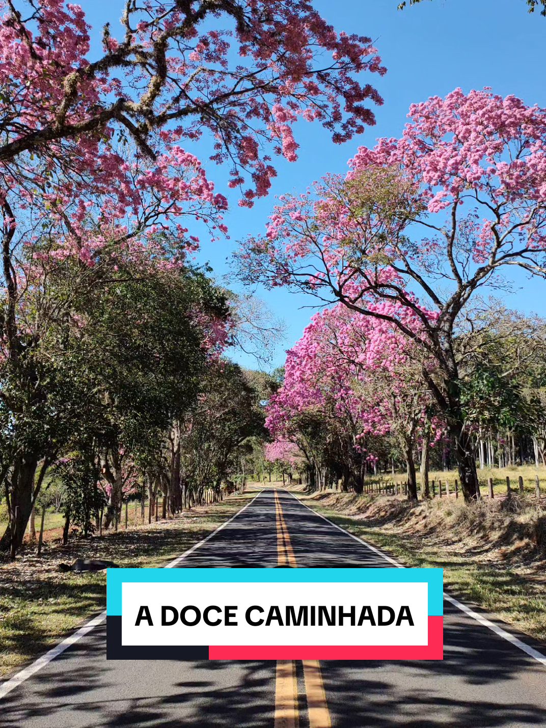 @Consciência Universal