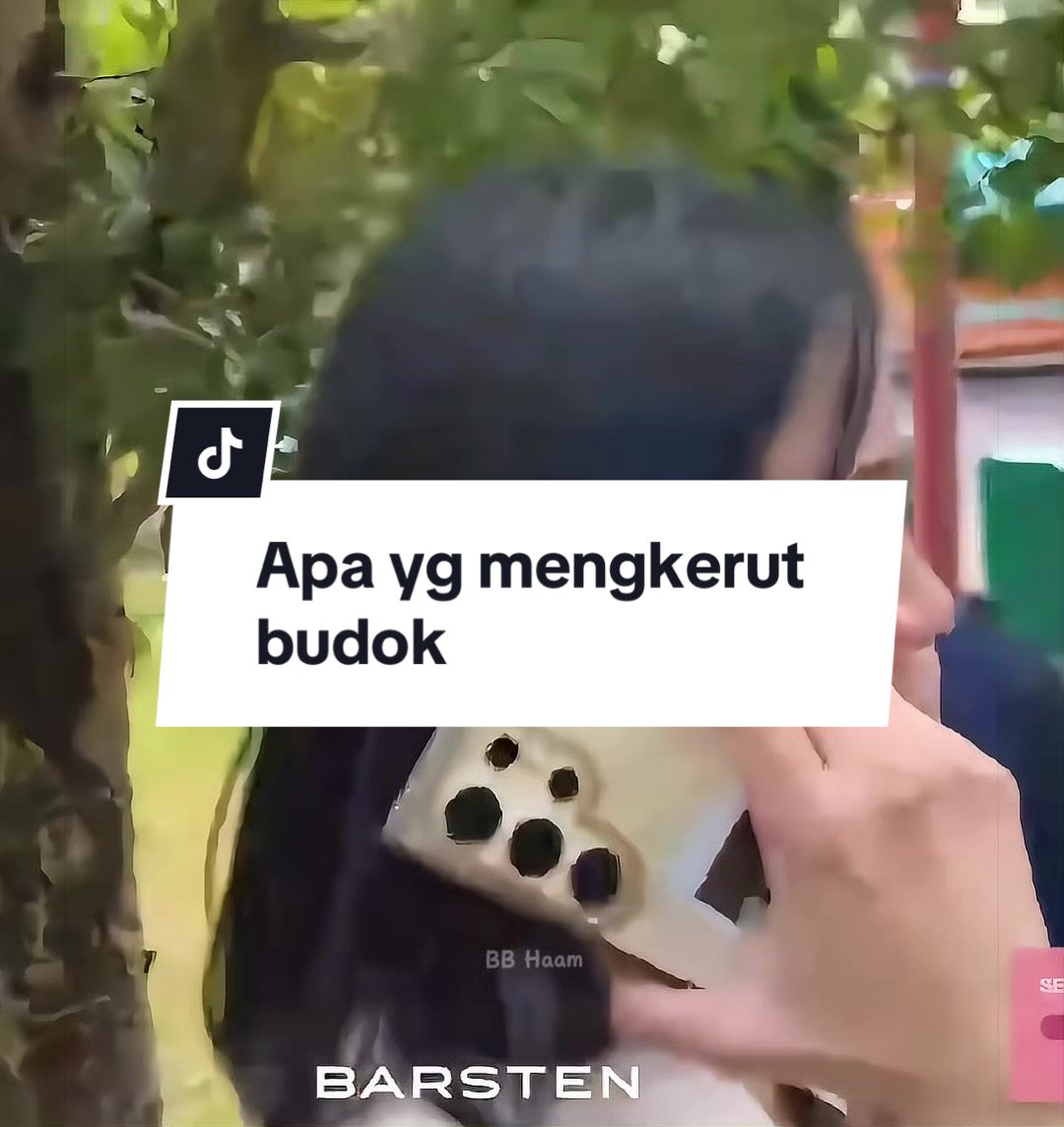 @BB_Haam