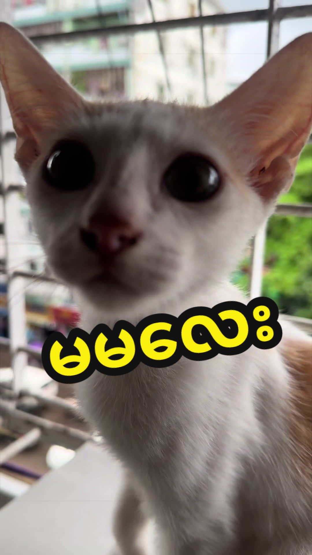 @Soe Angel