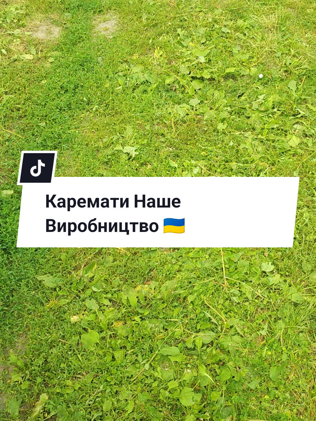 @РОЗКЛАДУШКИ👉0983887258