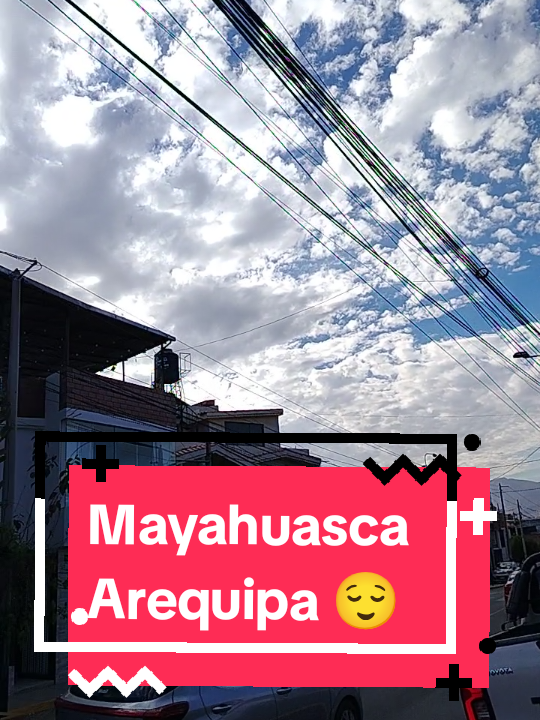 @Mayahuasca❤️