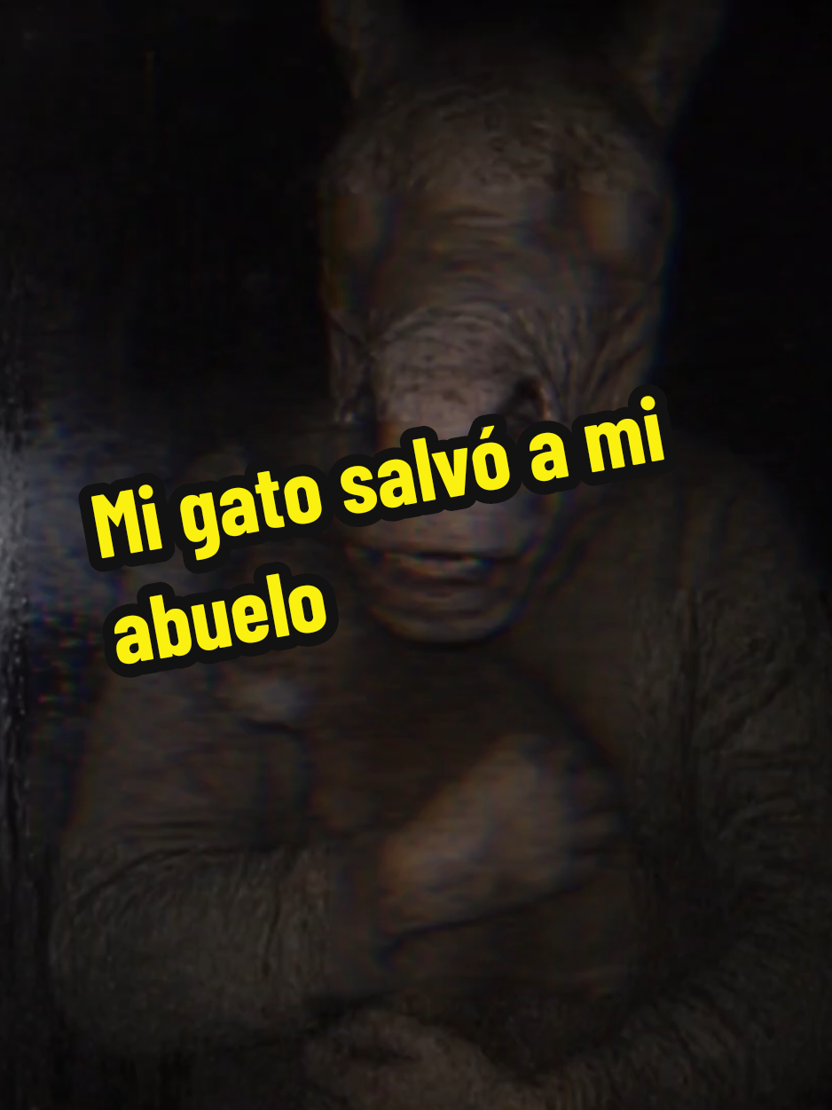 @El diario de coraje