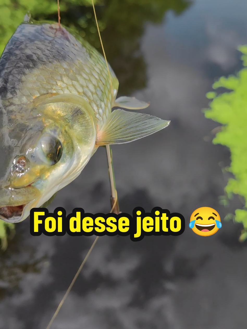 @Joildo Araujo