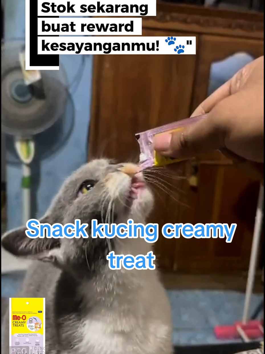 @Medayo Petcare