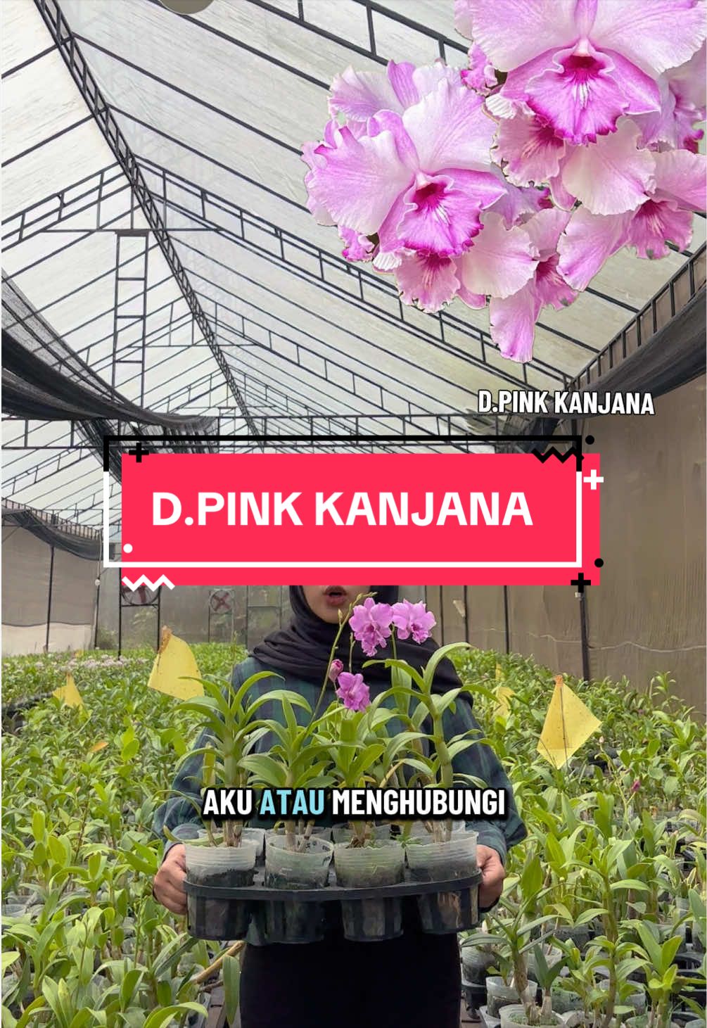 @Griya sekarindo utama