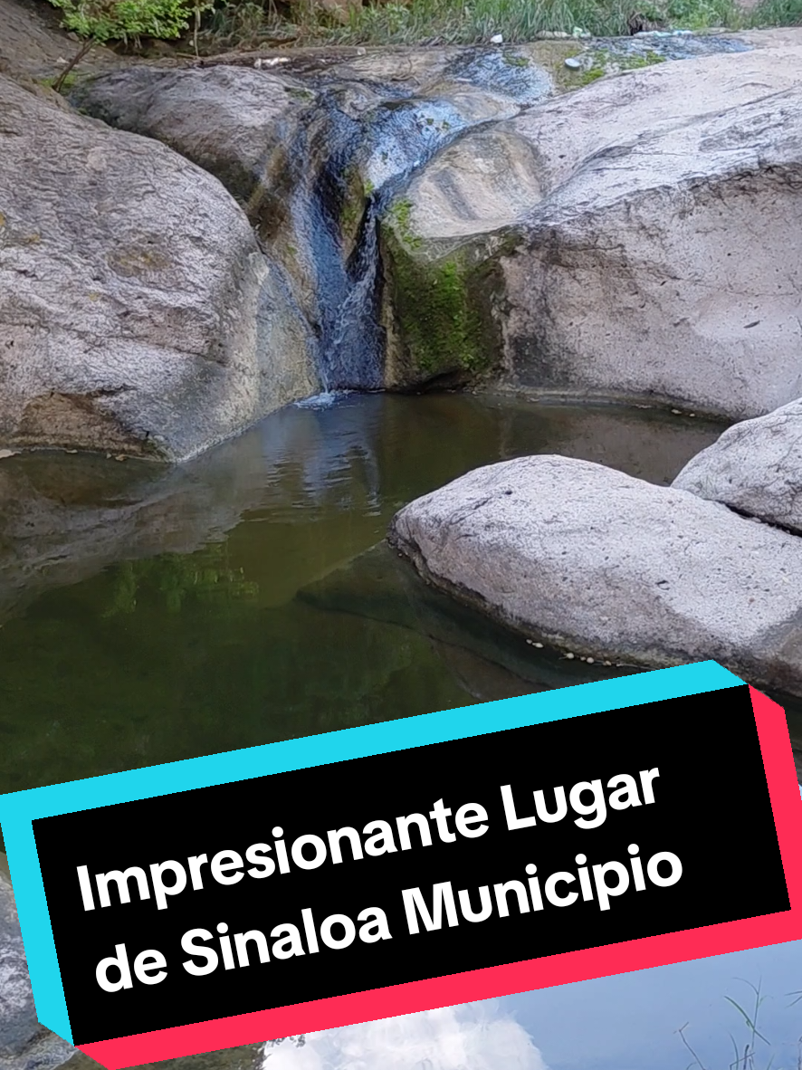 @De Todo RL Guasave