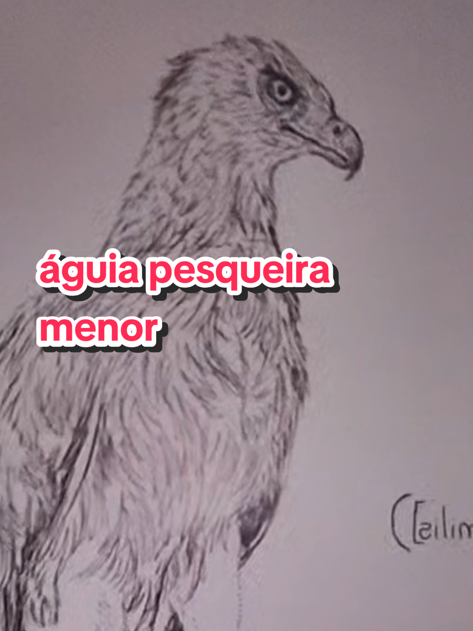 @Afonso Henrique