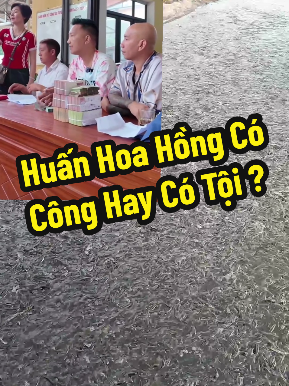 @Cá Chuối Hoa