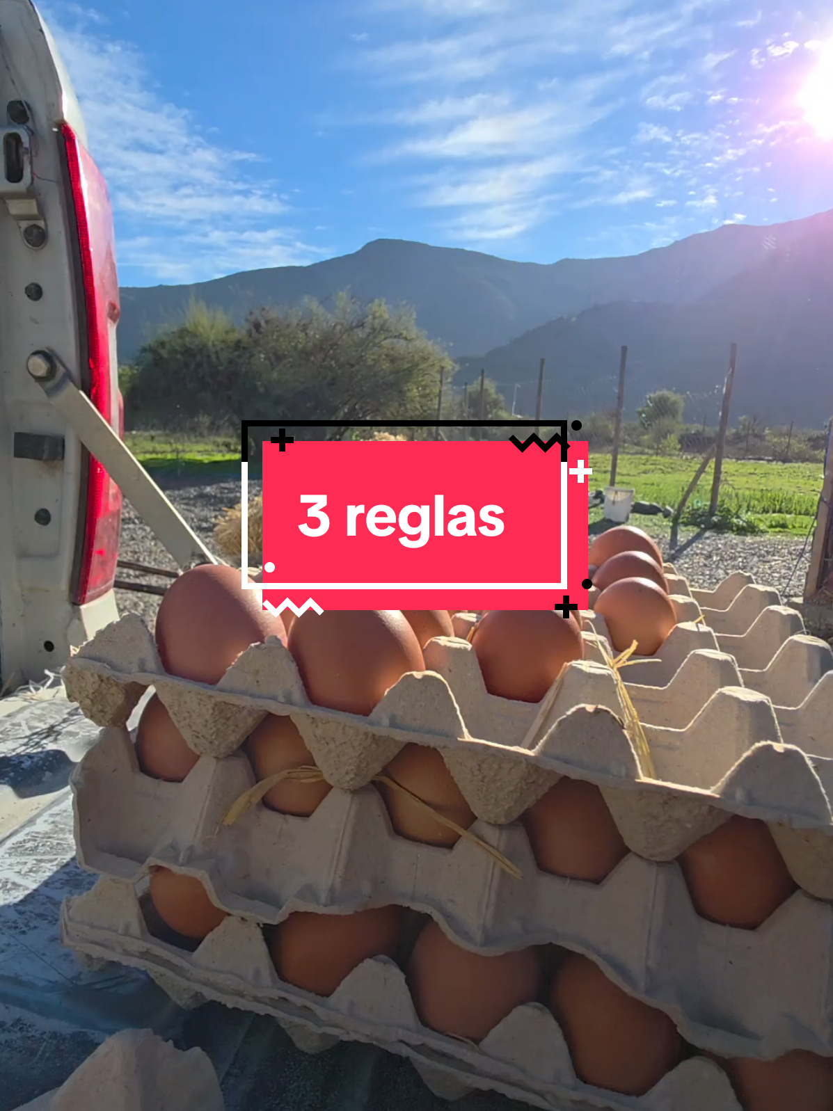 @El Gallinero de Carlos