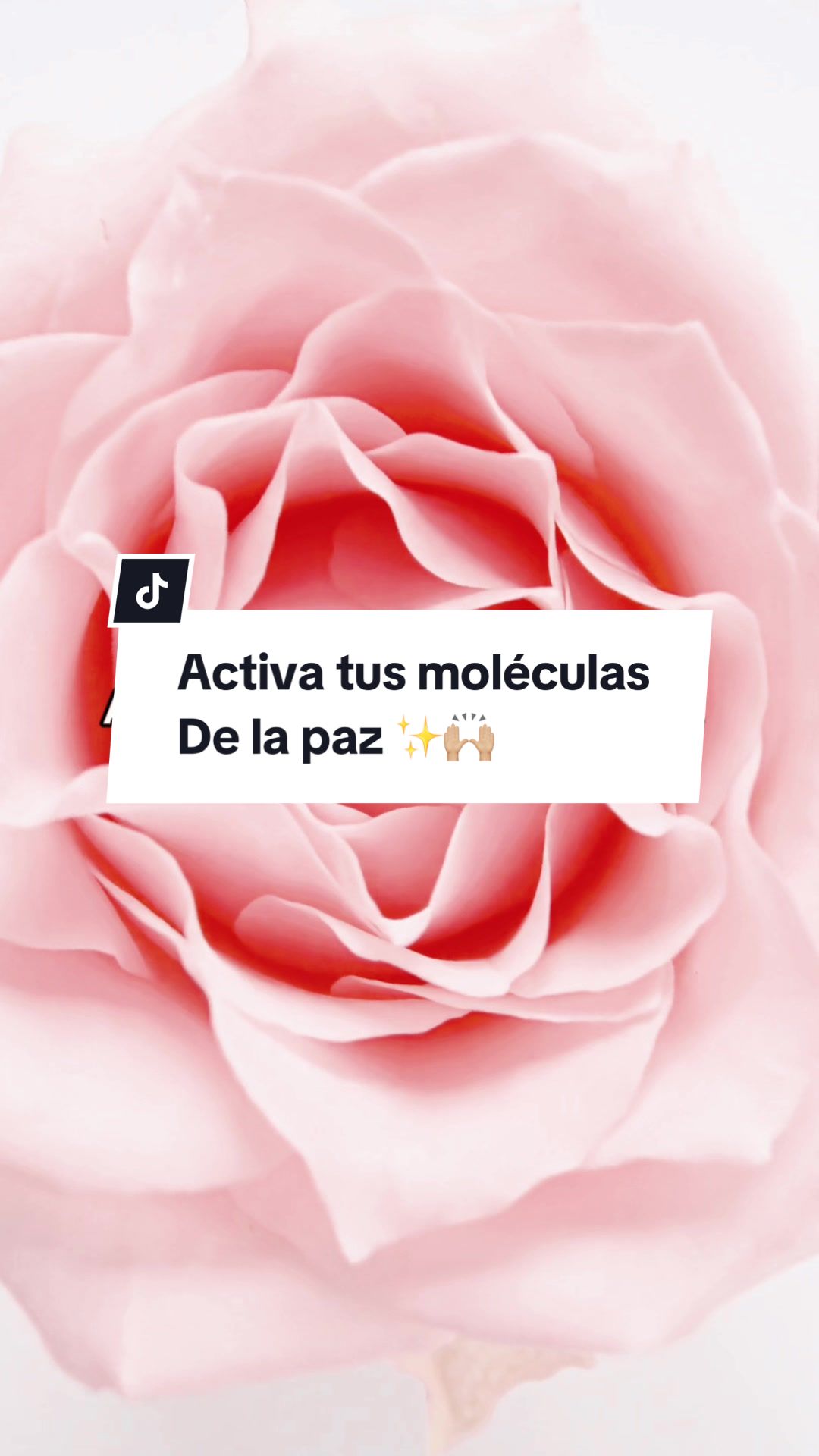 @metaimpulsotips