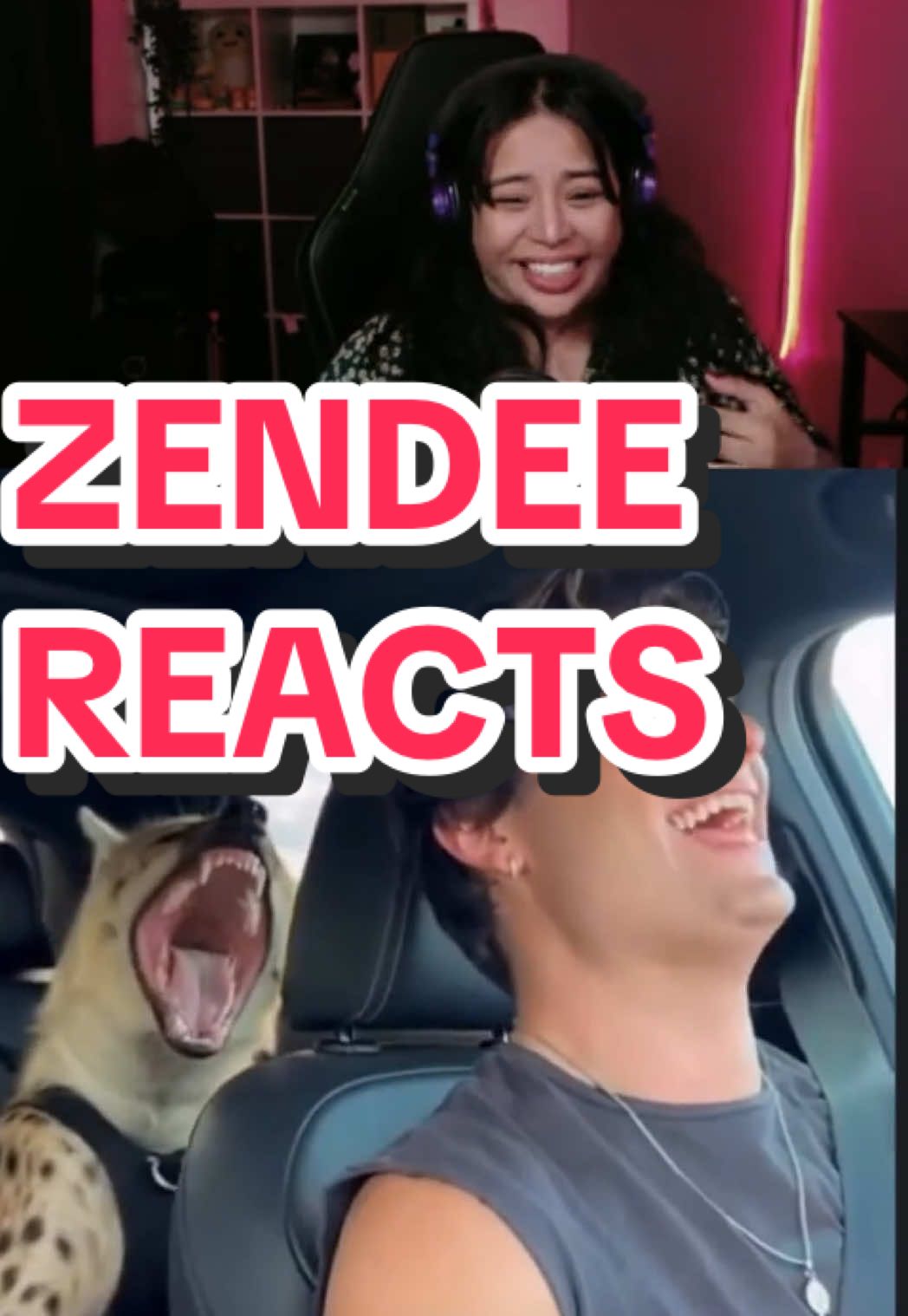 @ZENDEE ᥫ᭡