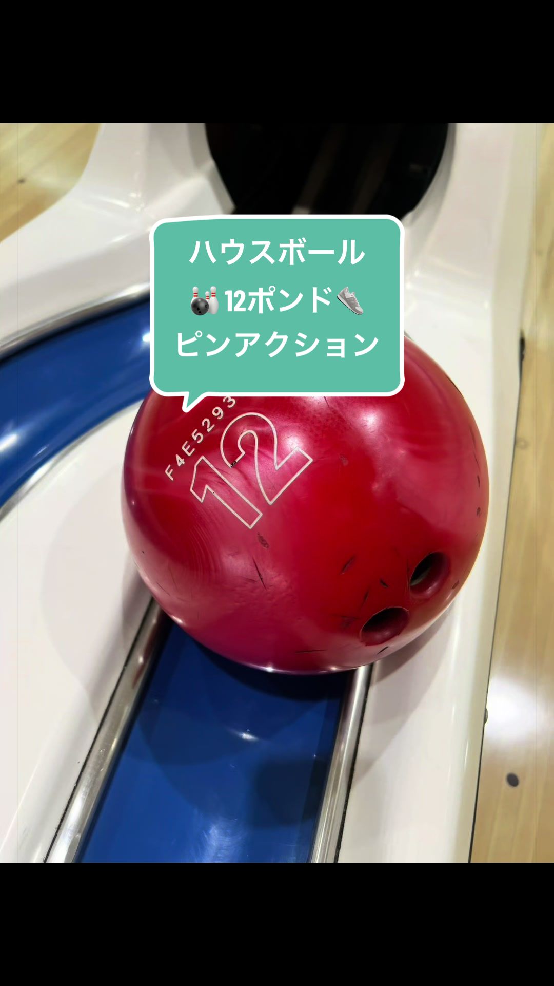 @島らっきょ