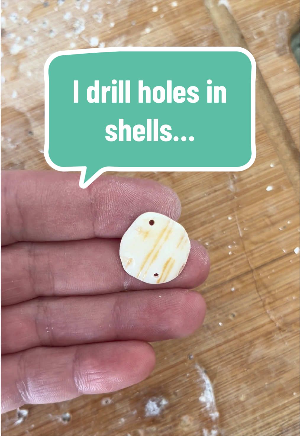 @Dusty J Designs | Shells