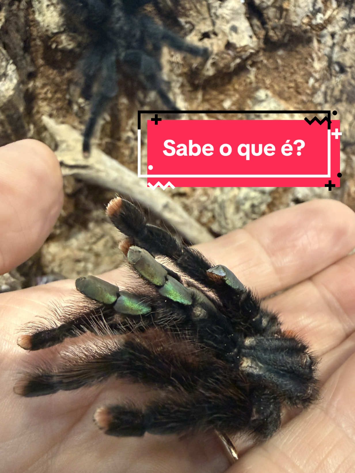 @Eubiologodiego