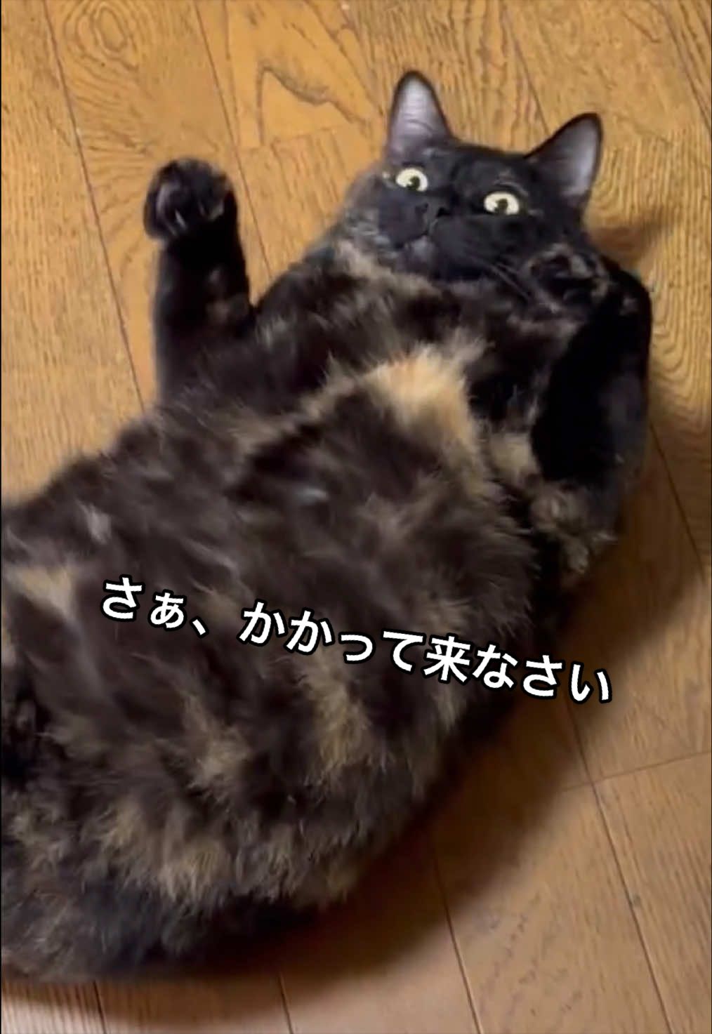 @聴々物語PROJECT