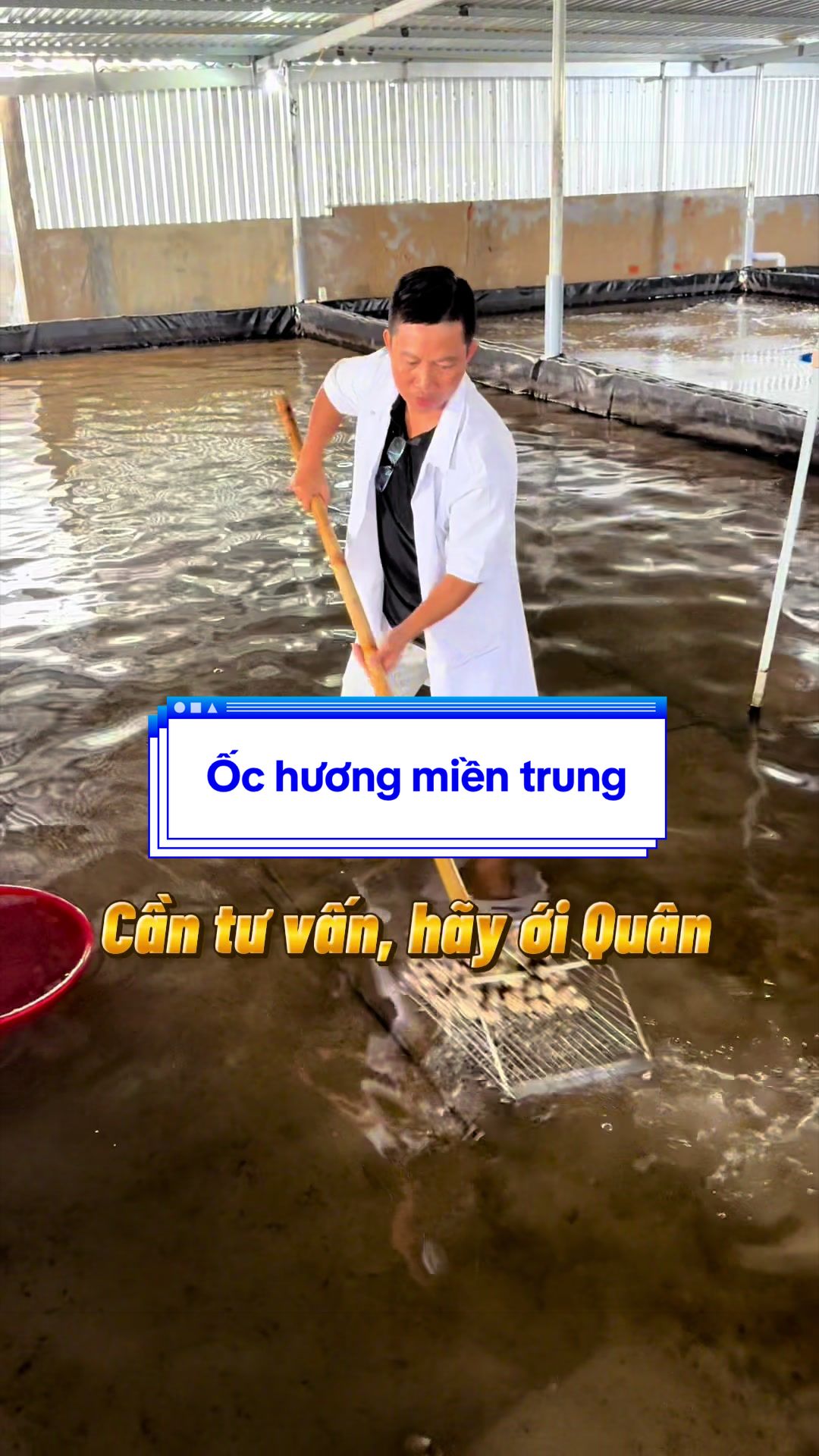 @Mr Qu&acirc;n