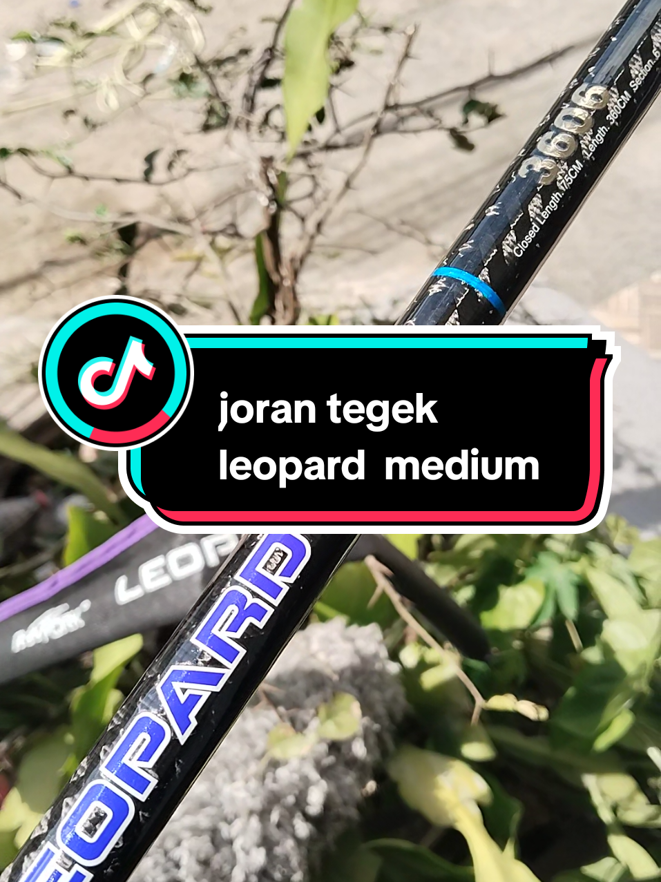 @Syamsul Ar