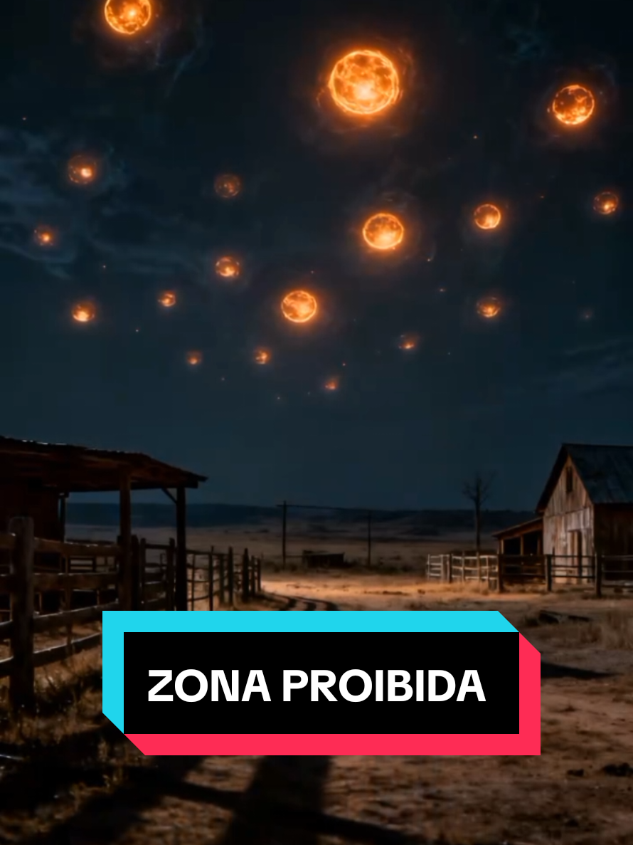 @Curiosidades Do mundo